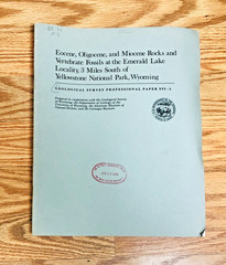 Lot United States Geological Survey Professional Paper USGS Geology Paleontology