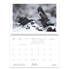 2022 Birds of Australia Wall Calendar – RAOUL SLATER
