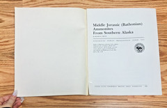 Lot United States Geological Survey Professional Paper USGS Geology Paleontology
