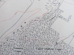 VINTAGE OS MAP CLAPHAM & WEPHAM DOWN SUSSEX 1913 SIX INCHES – ONE MILE