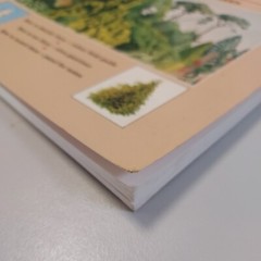 Ornamental Trees (National Trust Nature Notebooks), Readers Digest, Used; Good B