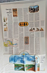 United States Regional Maps Poster National Geo Mag Close Up USA 1970s Classroom