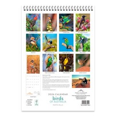 2026 Birds of Australia Wall Calendar – MARTIN WILLIS