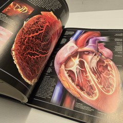 The Illustrated Atlas of the Human Body by Beverly McMillan Hardcover Medical