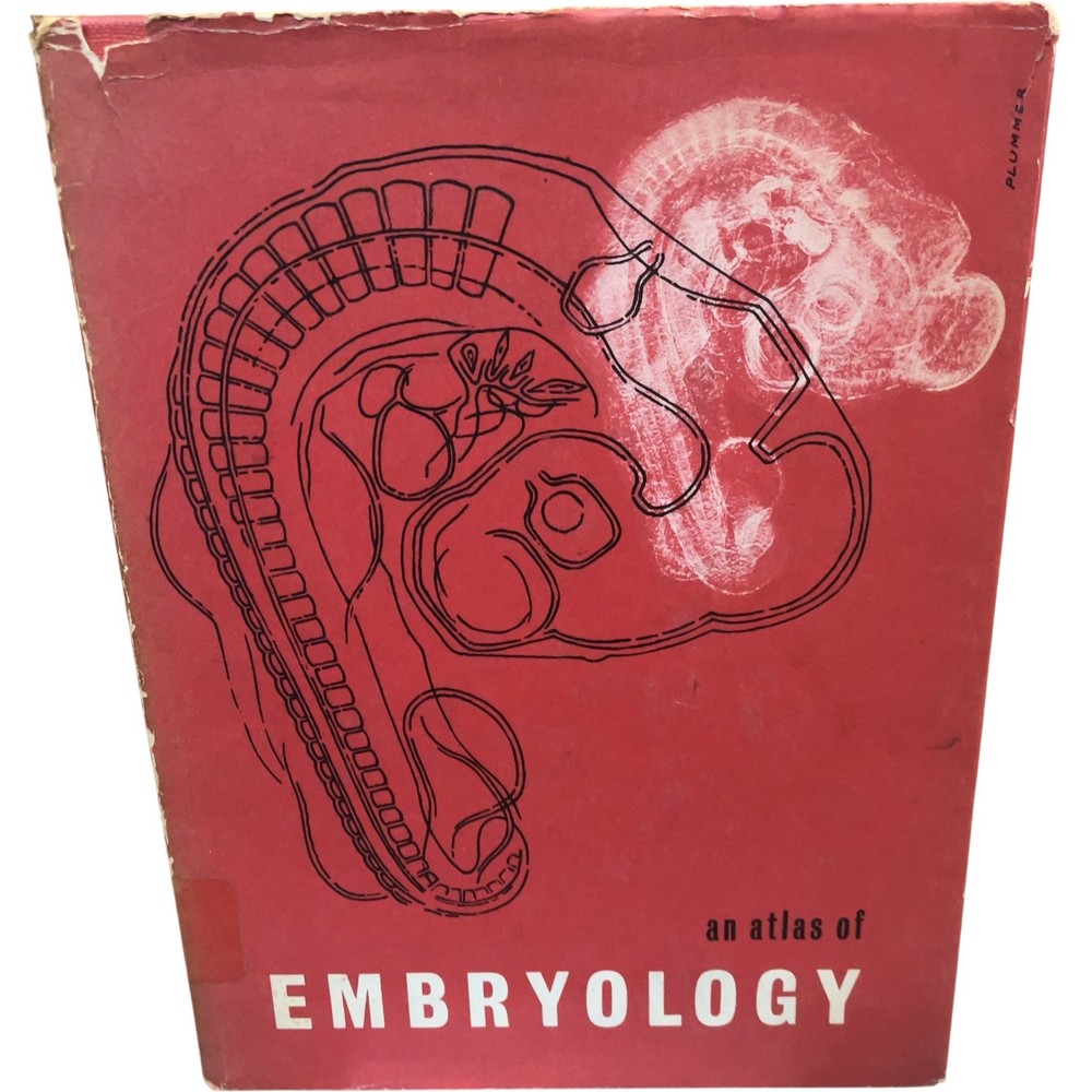 An Atlas of Embryology Freeman Bracegirdle Hardcover 1963 Biology