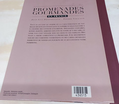 Promenades Gourmandes en France – Jean-Luc Petitrenaud – French Hardcover