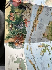 National Geographic Society Map of Indonesia 1996 Forest Survivors