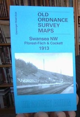 Swansea NW: Fforest-Fach & Cockett 1913 Glamorgan sheet 23.04 by Steph Mastoris