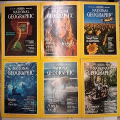 1987 National Geographic Magazine Full Year ~ 12 Issues ~ Good Condition