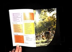 100 Nature Walks by National Trust Book – New, Discover Britain’s Wild Side