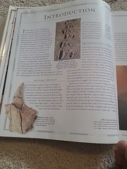 The Atlas of Archaeology : The Definitive Guide to the Location, History, and…