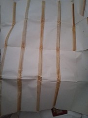 Old Fold Out Maps