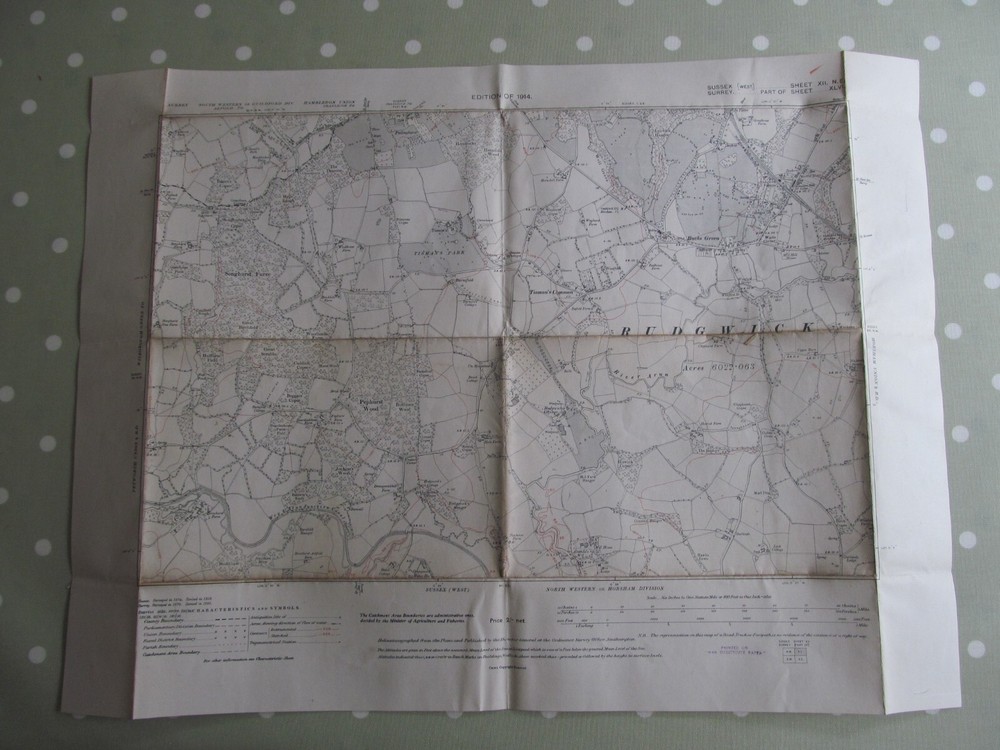 VINTAGE OS MAP OF BUCKS GREEN AREA SUSSEX 1914 EDITION – SIX INCHES TO ONE MILE