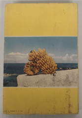 The Canary Islands; Mythical, Historical, Present; Yann Evan; Vintage; VG