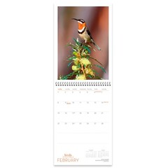 2026 Birds of Australia Wall Calendar – MARTIN WILLIS