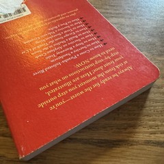The Worst Case Scenario Survival Handbook: Travel (Paperback Book Red Cover)