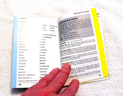 PRE-OWNED PAPERBACK BERLITZ THAILAND POCKET GUIDE 2002 RECOMMENDATIONS CULTURE