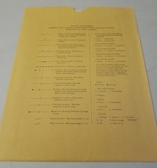 USGS Geologic Map of the McCarthy C-8 Quadrangle, Alaska 1978 Paper Map w/Sleeve