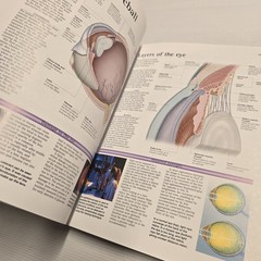 The Atlas of The Human Body by Professor Peter Abrahams – Complete Guide