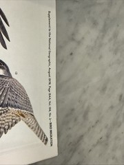 Vintage National Geographic Bird Migration Americas Northeast USA Fold Map 1979