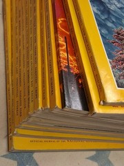 1981 National Geographic Magazine Full Year ~ 13 Issues ~ Good Condition