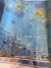 Hawaii Laminated Map National Geographic Plus One Similar￼ nn