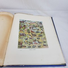 Collins New Advanced Atlas 48 Full Page Maps Antique Hardcover Book