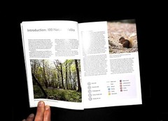 100 Nature Walks by National Trust Book – New, Discover Britain’s Wild Side