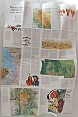 United States Regional Maps Poster National Geo Mag Close Up USA 1970s Classroom