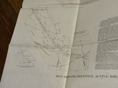 1970 USGS California Map SAN ANDREAS FAULT BETWEEN CHOLAME VALLEY TEJON PASS