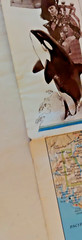 CANADA Quebec BC Ontario, Lot of 8, National Geographic Educational Maps Posters