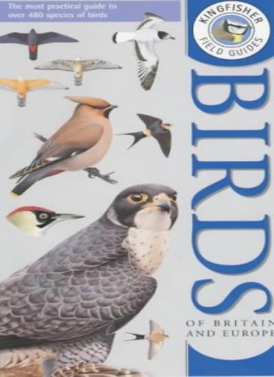 Kingfisher Field Guide to the Birds of Britain and Europe (Kingfisher field gu,