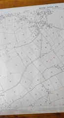VINTAGE 1904 ORDNANCE SURVEY ROLLED MAP WESTHORPE 104CM X 73CM