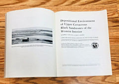 Lot US Geological Survey Biostratigraphy Depositional Environment Sandstone USGS