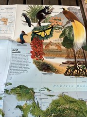 National Geographic Society Map of Indonesia 1996 Forest Survivors