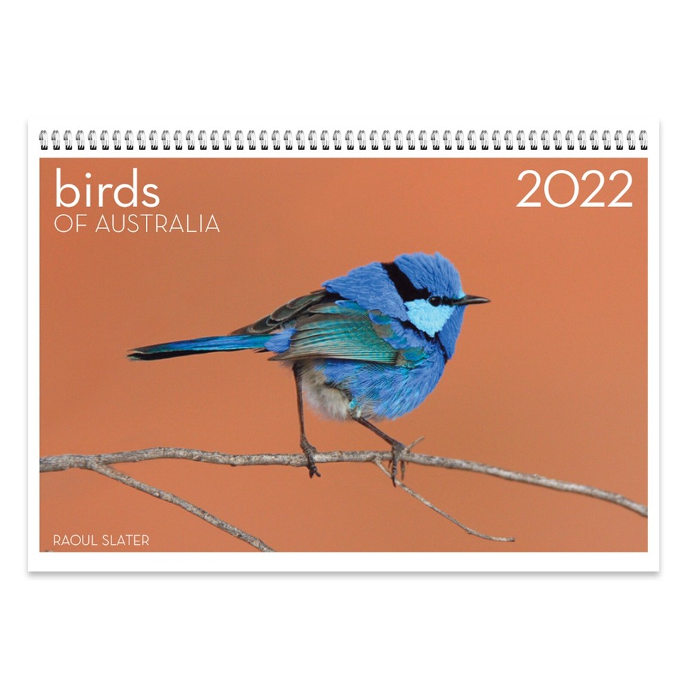 2022 Birds of Australia Wall Calendar – RAOUL SLATER