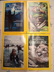 1990-92 National Geographic Magazine Full Year ~ 29 Issues ~ Good Condition