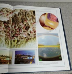 The Illustrated Atlas of the Human Body by Beverly McMillan Coffee Table Book