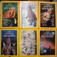 1983 National Geographic Magazine Full Year ~ 12 Issues ~ Good Condition
