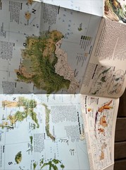 National Geographic Society Map of Indonesia 1996 Forest Survivors