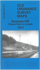 Swansea NW: Fforest-Fach & Cockett 1913 Glamorgan sheet 23.04 by Steph Mastoris