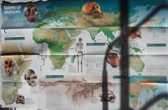 National Geographic Society Historical Map: Dawn of Humans