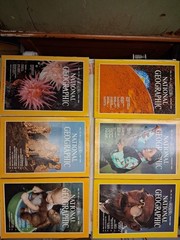 1980 National Geographic Magazine Full Year ~ 12 Issues ~ Good Condition
