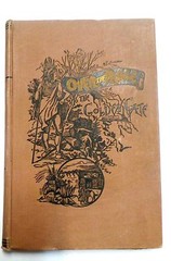 1889 Over the Range to Golden Gate, First Edition, Full Color Folding Map, Atlas