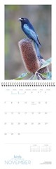 2021 Birds of Australia Wall Calendar- CLIFFORD B. FRITH & DAWN W. FRITH