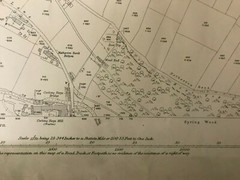 1916 Ordnance Survey, South Crosland, CCLX 6