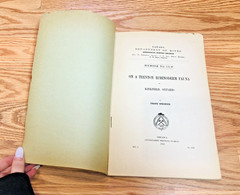 Lot 5 Canada Department of Mines Geological Surveys Paleontology Geology Vintage