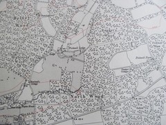 VINTAGE OS MAP OF THE BOLNEY AREA SUSSEX 1951 SIX INCHES – ONE MILE