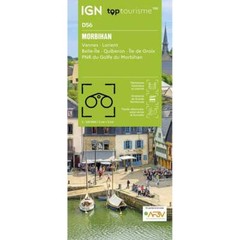 France 1:100k TOP 100 / Department map D56 Morbihan