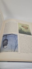 Hammonds Nature Atlas of America Vintage 1952